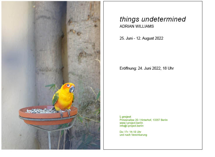 Adrian Williams, things undetermined